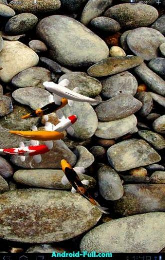 Koi Live Wallpaper Apk App Para Android