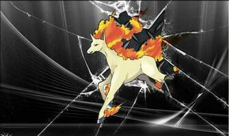 Rapidash Wallpaper HD By Zedrache1991
