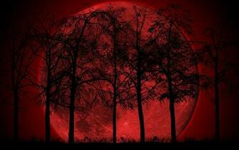 Dark Forest Moon iPhone Wallpaper Walops H 3rt