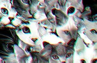 Trippy Cats