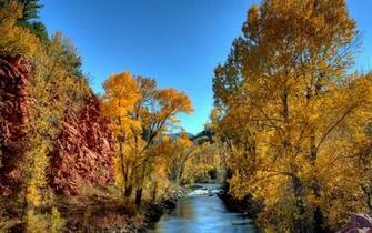 Kids Under Fall Wallpaper For Desktop