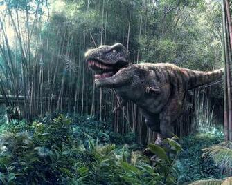 T Rex Wallpaper Animals Library