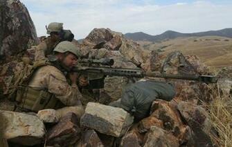 Reconnaissance Battalion By Militaryphotos