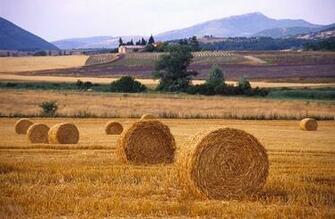 Related Pictures Field Hay Landscape Farm Rustic Autumn Wallpaper