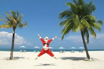 Tropical Christmas Wallpaper Best Cars Res