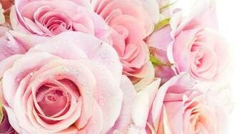 Girly Wallpaper