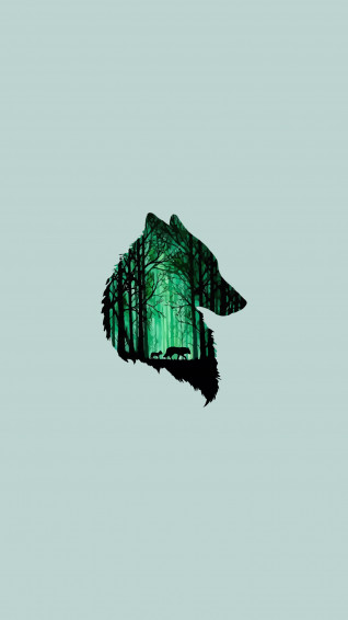 Wolf Aesthetic Wallpaper