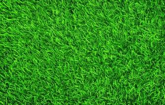 Wallpaper Grass Background Lawn Green Summer