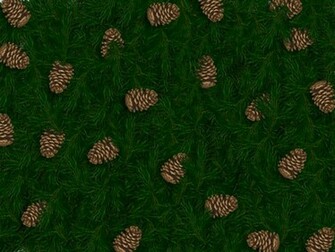 Pine Cone Background Stock Photo HD Public Domain Pictures