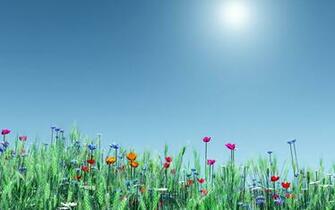 Bild Fr Hlingsblumen Wallpaper And Stock Photos