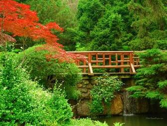Garden Wallpaper