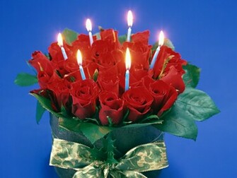 Place For HD Wallpaper Desktop Roses