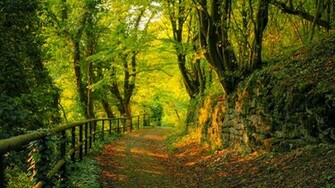 Scenic Beauty Wallpaper Top HD