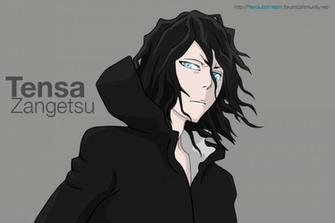 Tensa Zangetsu Hollow Wallpaper By Vastolord3