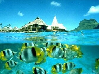Fonds D Cran Tahiti Tous Les Wallpaper