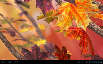 Celebrate Fall With A Beautiful Background Of Autumn Leaves Blowing In