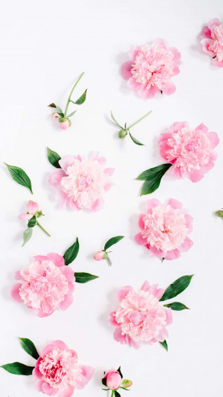 Pink Flowers Aesthetic Background Wallpaper