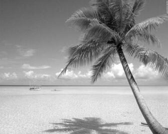 Black And White Wallpaper Beach Landscape HD