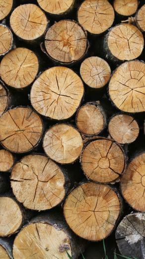 Logs Texture Wallpaper iPhone Android Desktop Background