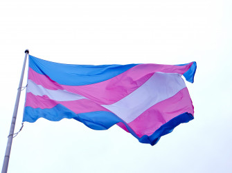 Trans Flag Wallpaper