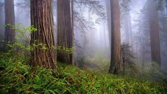 Source Url Nexus5wallpaper Net Wallpaper95 Image