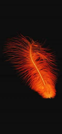 iPhonexpapers iPhone X Wallpaper An98 Feather Orange Dark