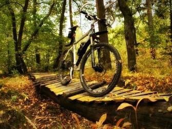 Mountain Bike Funny Quotes