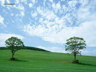 Beautiful Country Farm Scene Photography Perfect Wallpaper