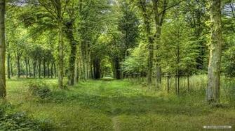 Landscape Wallpaper Android With
