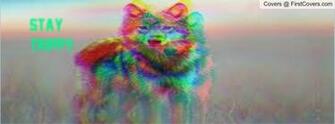 Stay Trippy Wolf Profile Cover