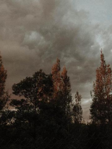 Aesthetics Grunge Vintage Retro Sky Anture
