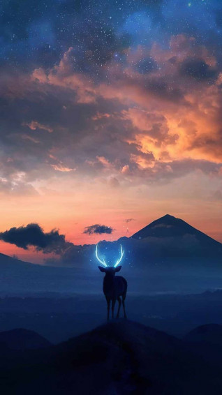 Wild And iPhone Wallpaper