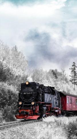 Train Forest Winter Railway Snow Wallpaper iPhone Pro Max