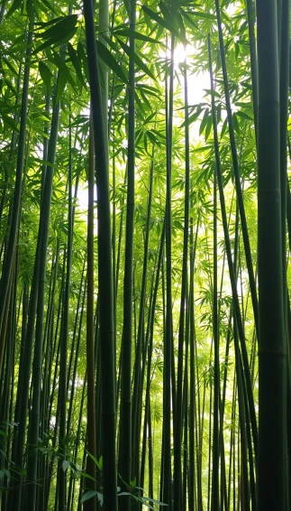 Bamboo Phone Wallpaper