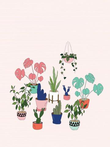 Urban Jungle Pot Plant Desktop Wallpaper Make And Tell
