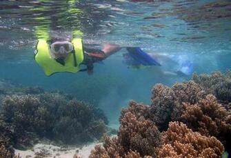 Girls New Screensavers Reef Models Wallpaper