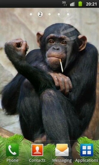 Funny Monkey Live Wallpaper Android Apps On Google Play