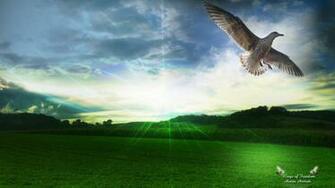 Wings Of Dom High Quality And Resolution Wallpaper