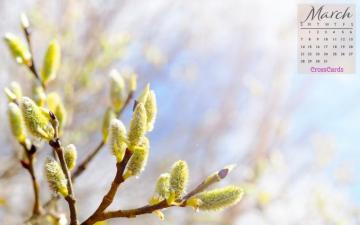 March Spring Buds Desktop Calendar Wallpaper