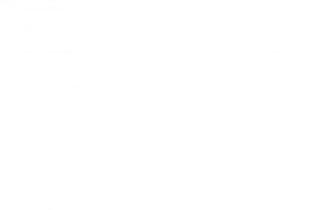 White Solid Color Background And The Below