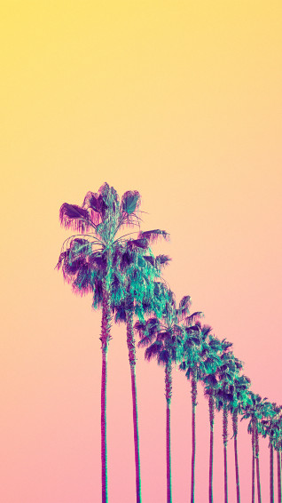 Aesthetic Photography Wallpaper