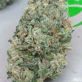 Sour Diesel Strain Re The Nug
