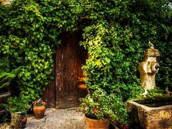 Wallpaper Luberon France Countryside Photo Tour French Dove