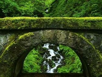 Old Bridge Wallpaper