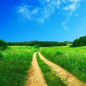 Country Road Wallpaper
