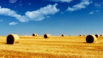 Summer Image Wallpaper High Definition Quality Widescreen