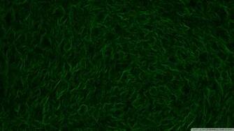 Green Carpet Abstract Wallpaper