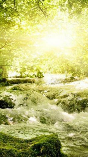 Nature Moto G Wallpaper HD Motorola