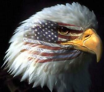 American Eagle Wallpaper Desktop Background