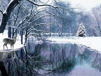 Winter Scene Vector Wallpaper For Apple Mac